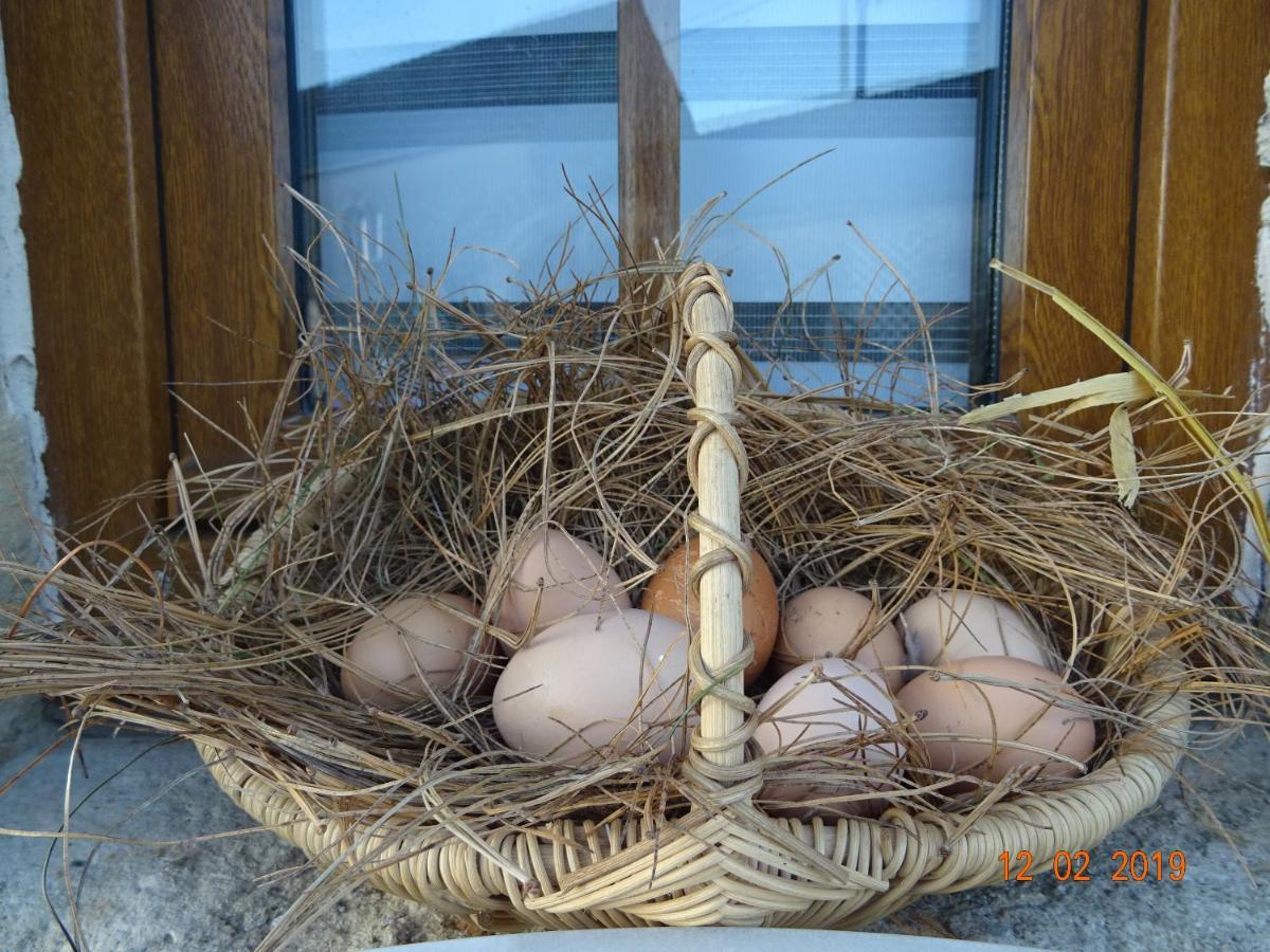 La Ferme Aux Chats Bed & Breakfast Formigny Exterior foto