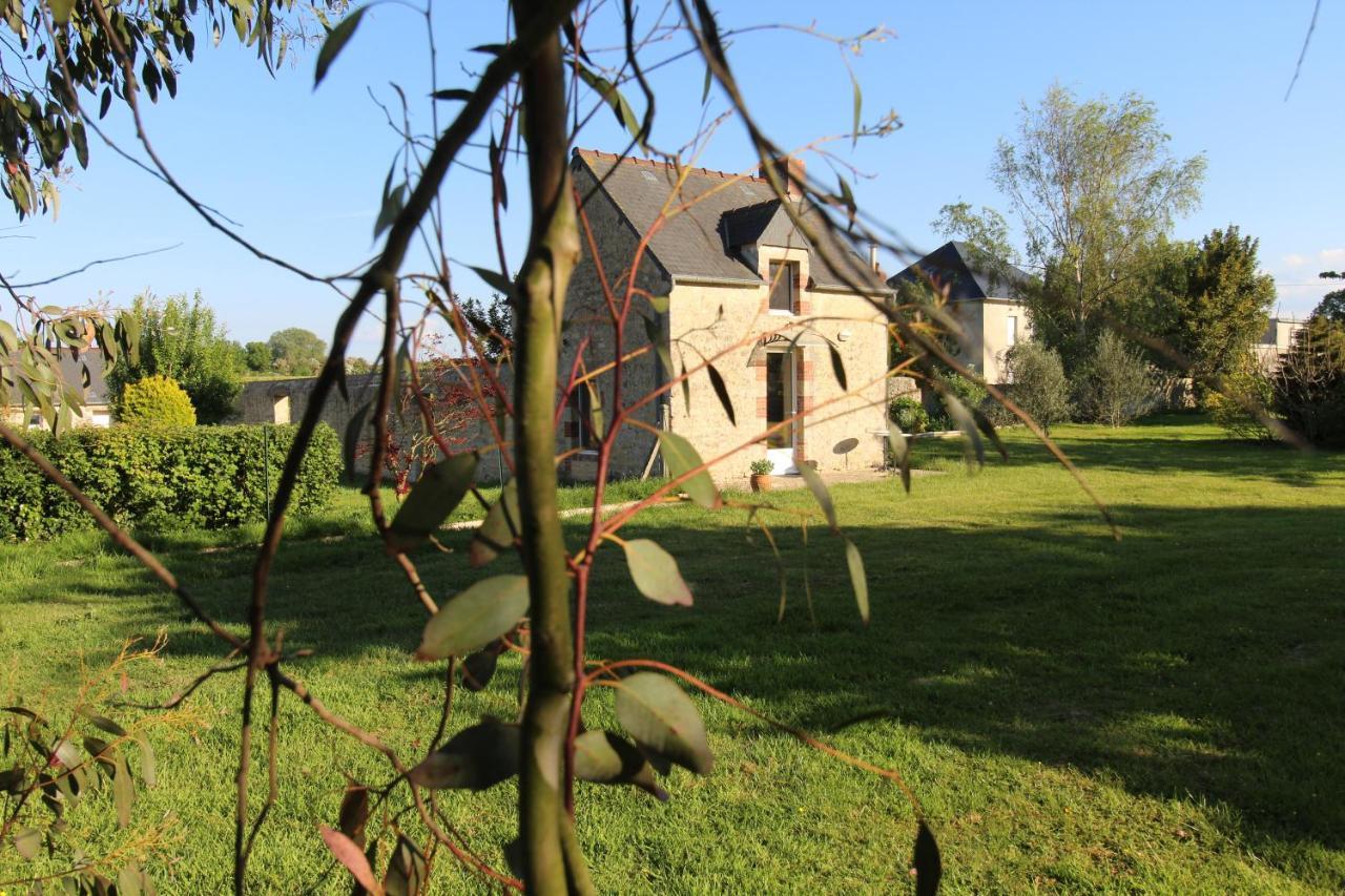 La Ferme Aux Chats Bed & Breakfast Formigny Exterior foto