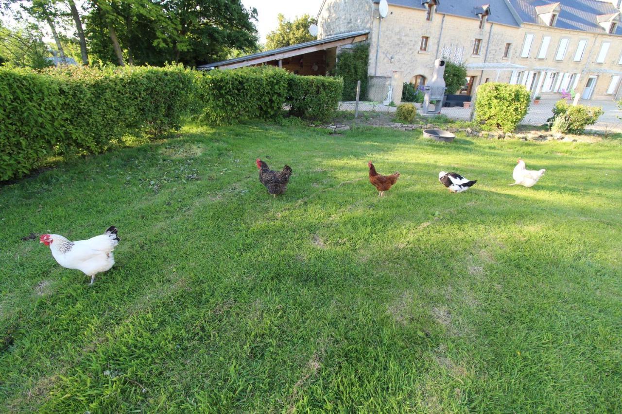 La Ferme Aux Chats Bed & Breakfast Formigny Exterior foto